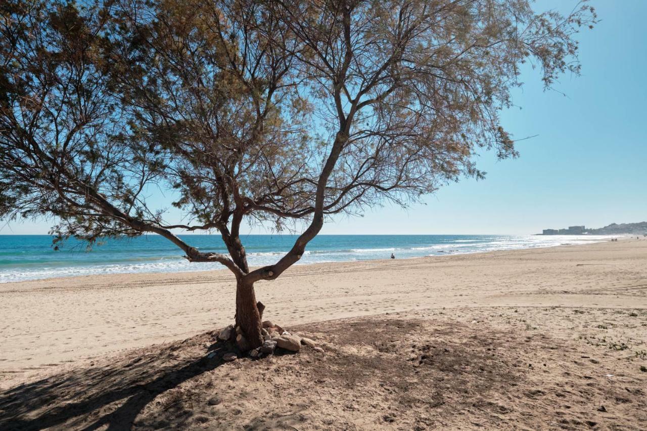 Sunny Sea Apartment La Mata  Ngoại thất bức ảnh